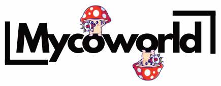 logo main
