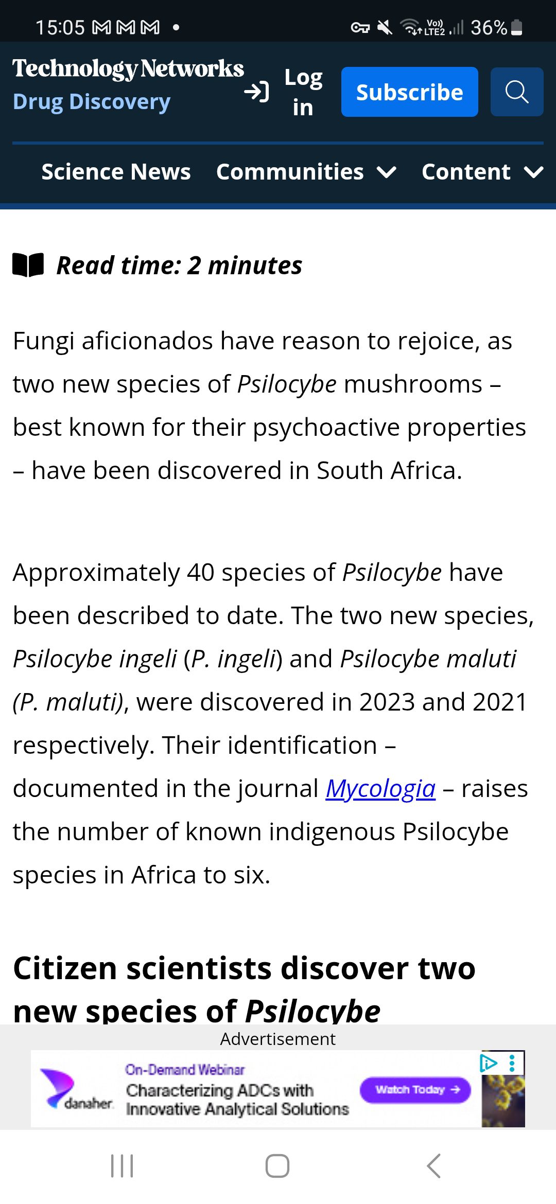 Psilocybe Ingeli Iso Spore Syringe 10ml - Image 3