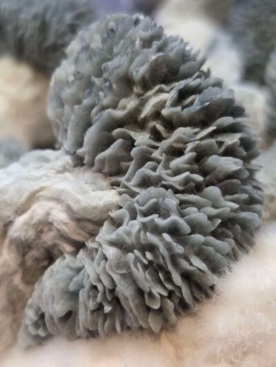 Shredder (Jack Frost x Mayahuel) Spore Swabs