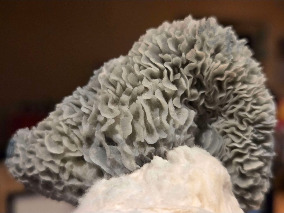 Jack Frost x Mayahuel Spore Syringe - Image 6