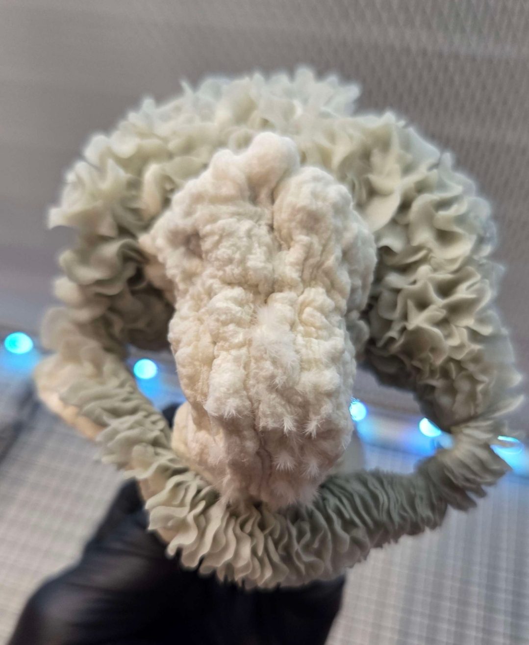 Jack Frost x Mayahuel Spore Syringe - Image 5