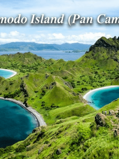 Komodo Island (Original Panalaeous) Spore Swabs