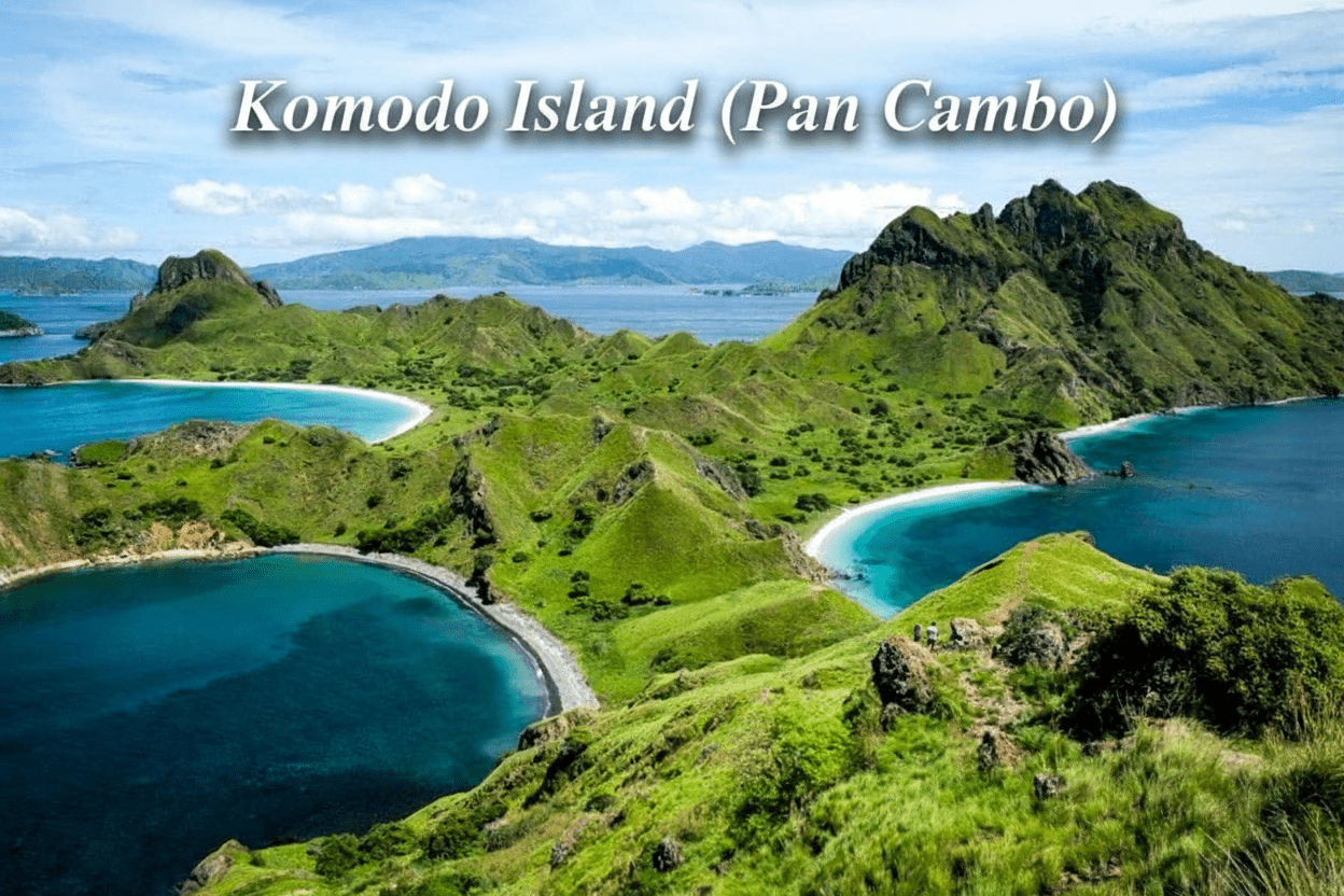 Komodo Island (Original Panalaeous) Spore Swabs