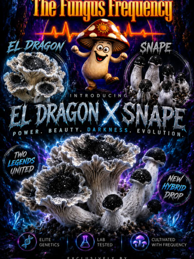 El Dragon x SNAPE Spore Syringe 10ml