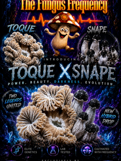 Toque x SNAPE Spore Syringe 10ml